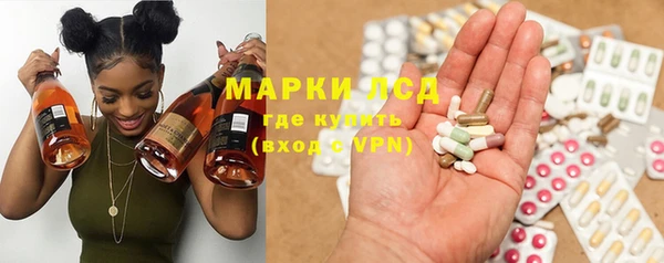ГАЛЛЮЦИНОГЕННЫЕ ГРИБЫ Арсеньев