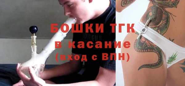 ГАЛЛЮЦИНОГЕННЫЕ ГРИБЫ Арсеньев